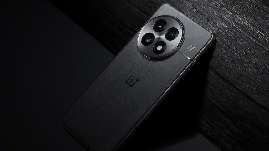 OnePlus 13
