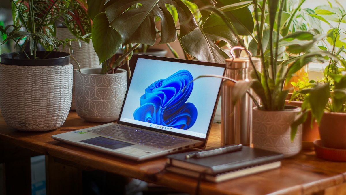 Windows 11 PC