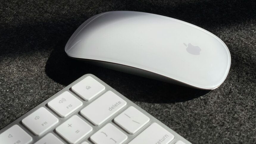 mouse e tastiera Apple