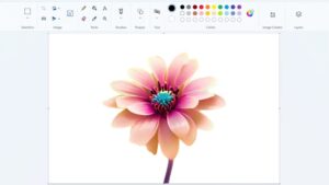 Paint gomma e sfondo