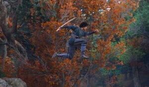 Assassin's Creed Shadows update