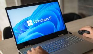 Windows 11 Snipping Tool