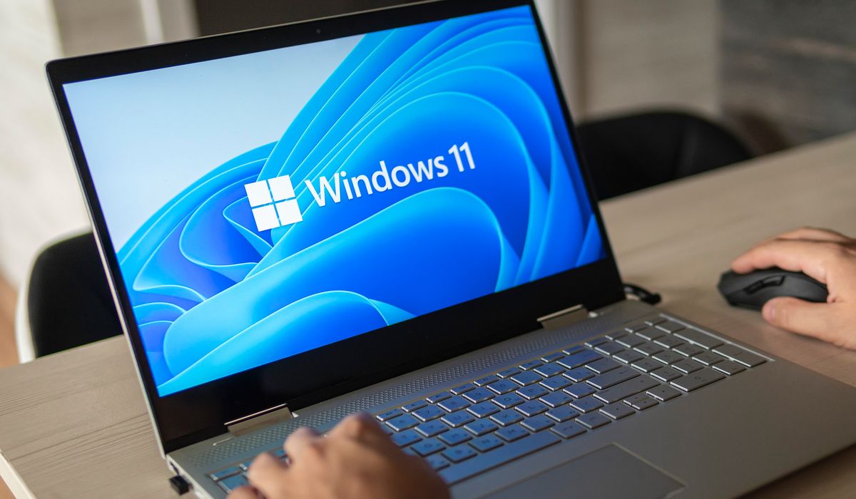 Windows 11