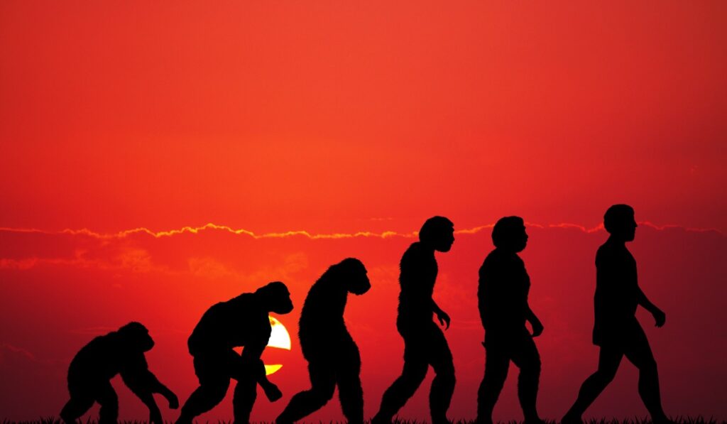 evoluzione umana
