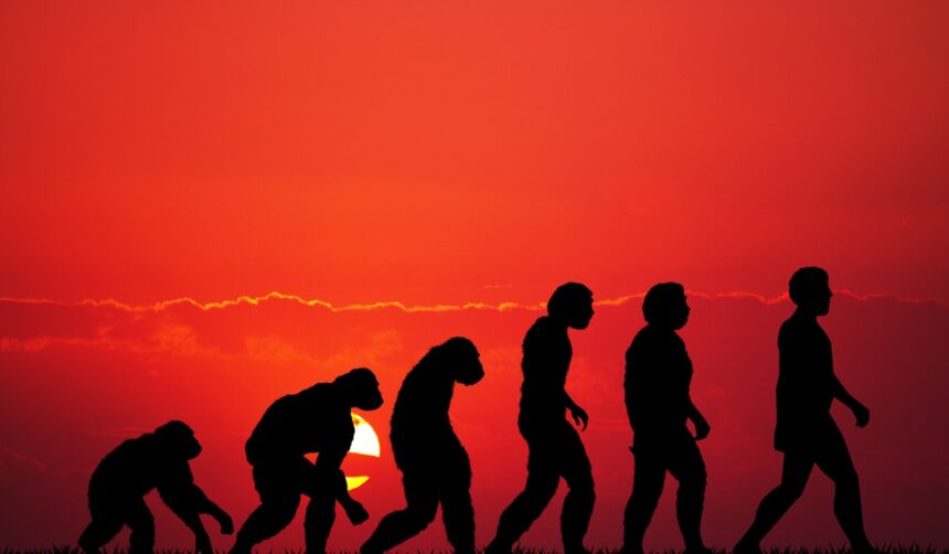 evoluzione umana