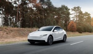 Tesla Model Y Standard