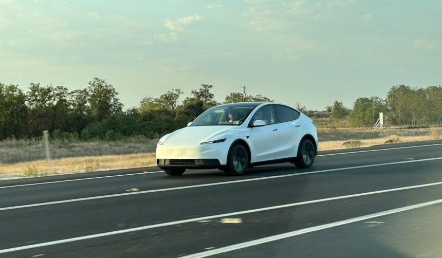 Tesla Model Y Standard