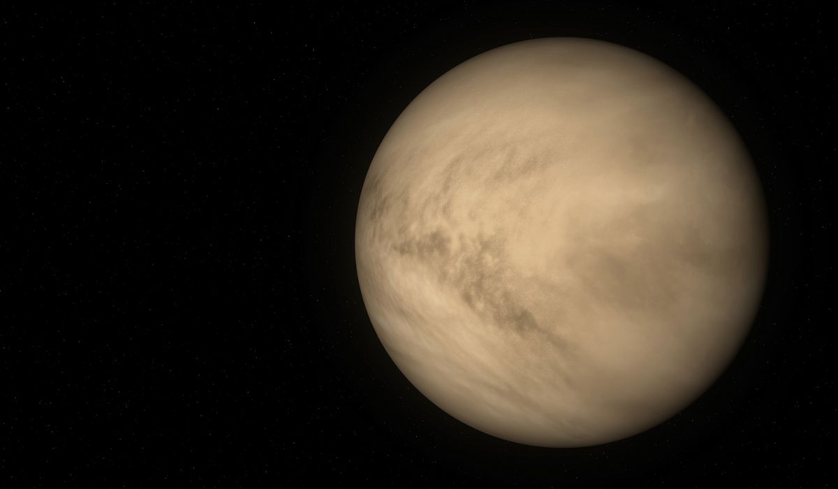 Venere