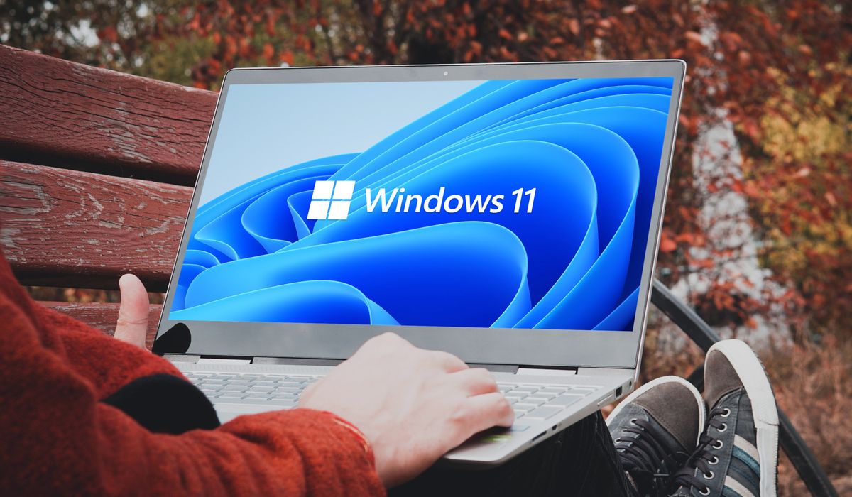 Windows 11