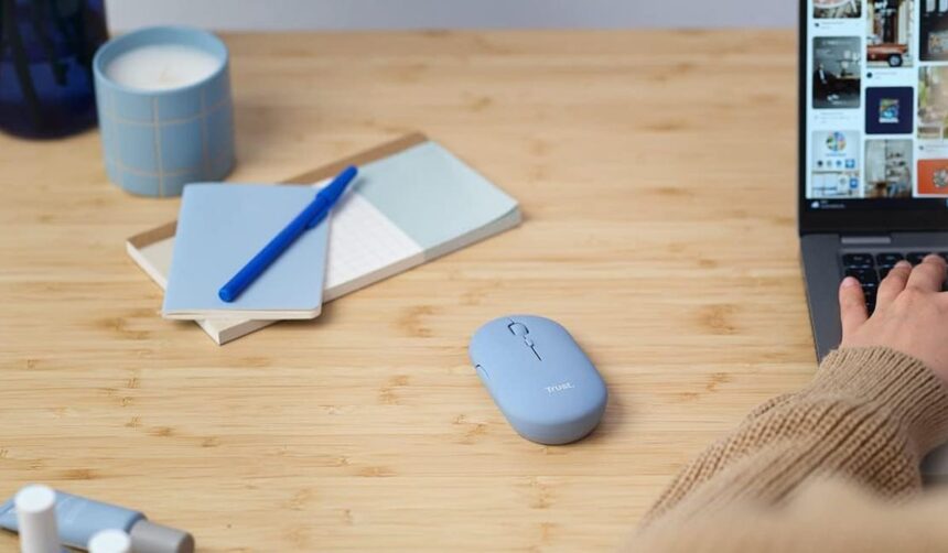 Mouse Trust Puck wireless