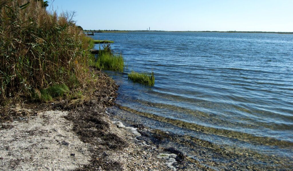 Island Beach State Park