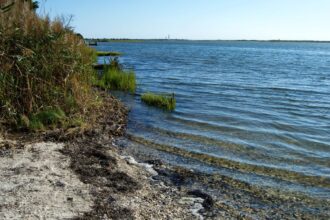 Island Beach State Park