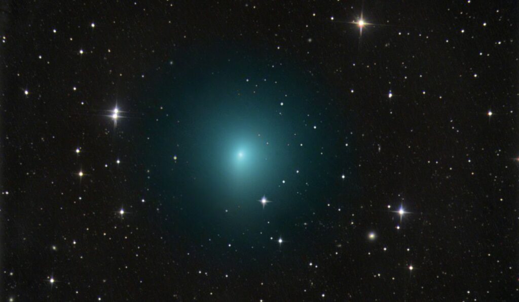 cometa 41P