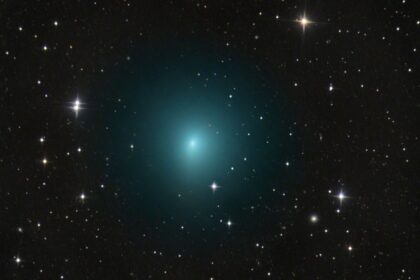 cometa 41P