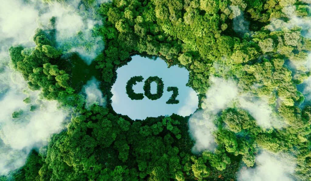 emissioni CO2