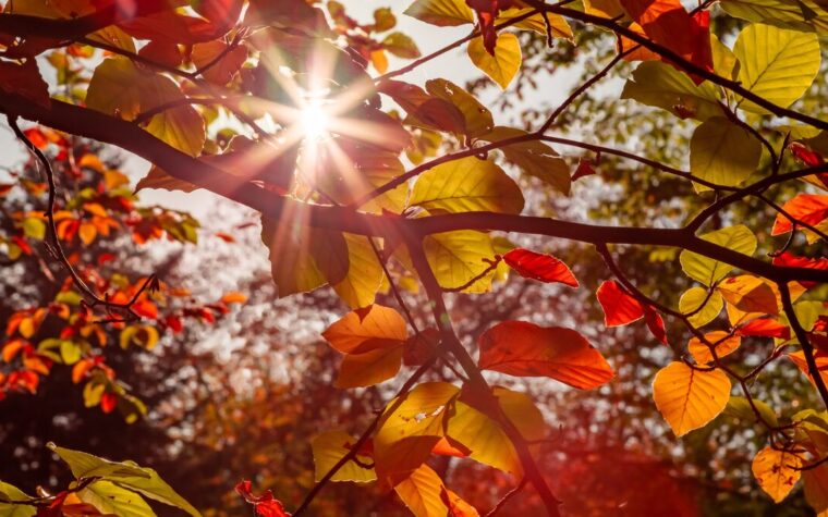 equinozio autunno