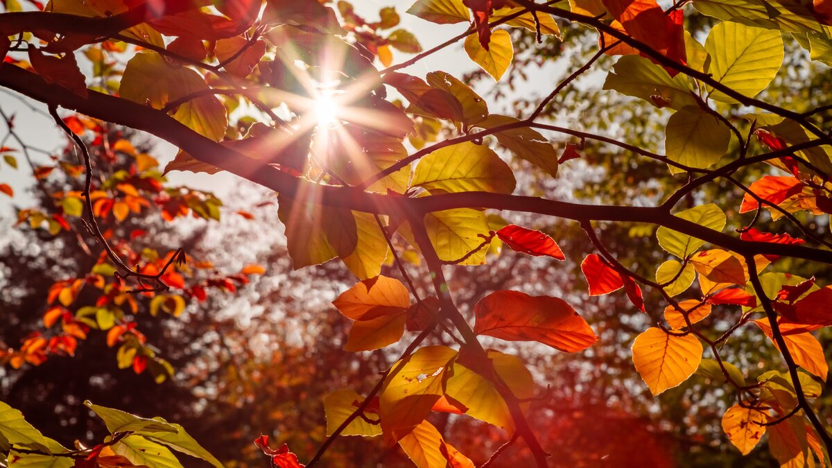 equinozio autunno