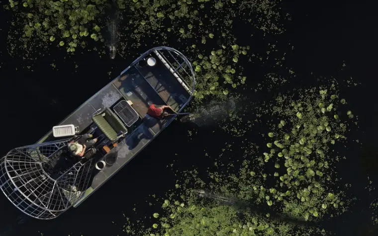 GTA VI