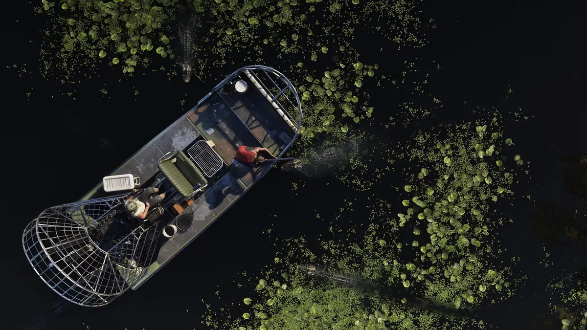 GTA VI