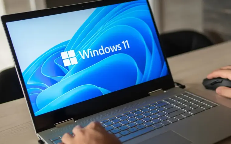 Windows 11