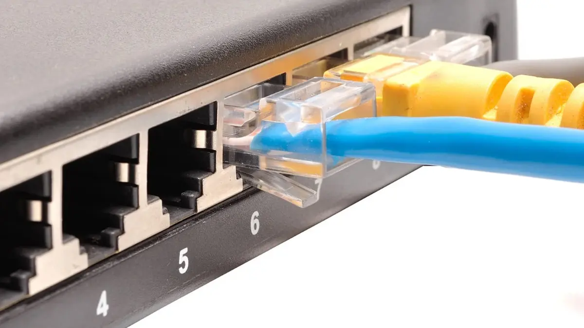 Cavi Ethernet collegati alle porte di uno switch di rete.